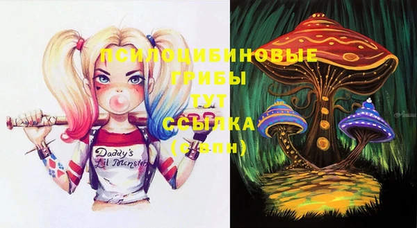 амф Белокуриха