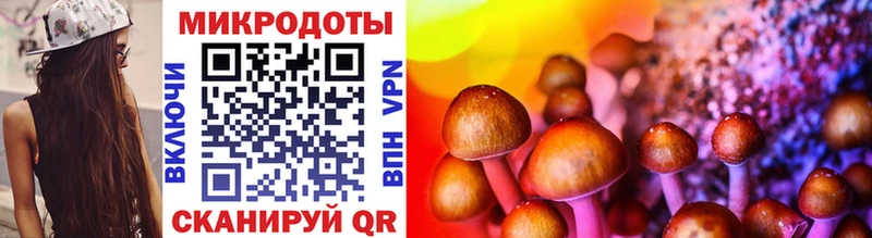 Псилоцибиновые грибы Magic Shrooms  МЕГА онион  Цоци-Юрт  хочу  